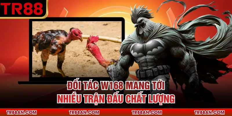 Đối tác W168 mang tới nhiều trận đấu chất lượng