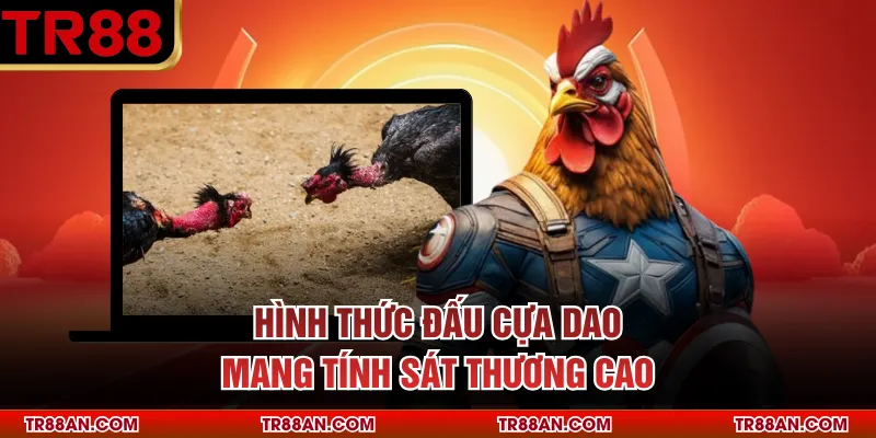 Hình thức đấu cựa dao mang tính sát thương cao